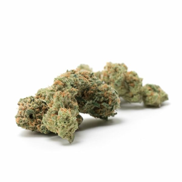 Wedding Cake buds with green base and fiery orange pistils (hairs) that weave throughout the buds, adding contrast and further enhancing its visual appeal.