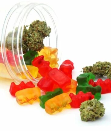 BuyBudzUk-Flavored-Gummy-Bears