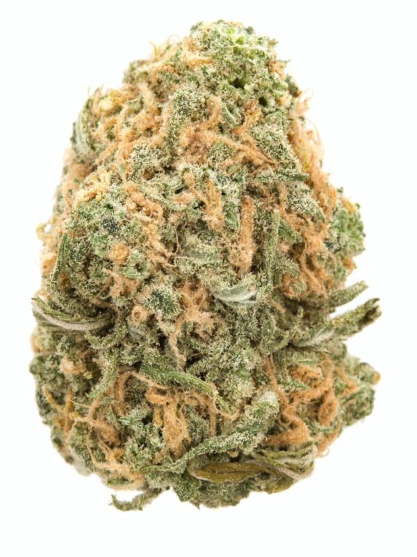 Blue Dream cannabis bud with vibrant green and orange colors, covered in a frosty layer of trichomes.