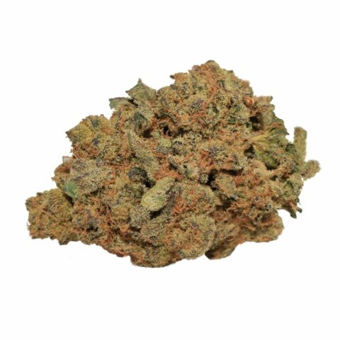 Fantasy Island Weed strain. The bud displays a dense structure with vibrant green tones mixed with orange pistils and a generous coating of trichomes, highlighting its potency.