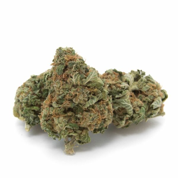 Lemon Zkittlez cannabis bud, featuring frosty trichomes, orange hairs, and rich green tones, highlighting its potent indica-dominant hybrid strain.