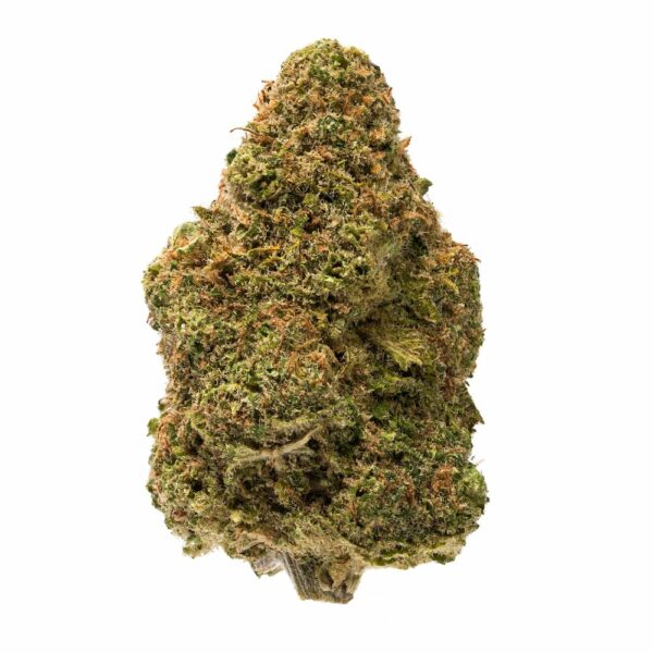 Fantasy Island strain. The bud displays a dense structure with vibrant green tones mixed with orange pistils and a generous coating of trichomes, highlighting its potency.