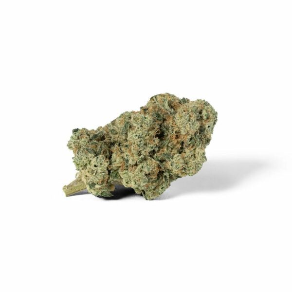 King Thunderfuck cannabis bud. This strain features dense, minty green nugs with fiery orange hairs and a thick coating of frosty trichomes, known for its powerful, balanced effects. Ideal for both relaxation and creativity.