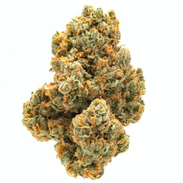 Sour Diesel cannabis bud, showcasing its dense, frosty trichomes, vibrant orange hairs, and rich green leaves, perfect for high-potency sativa effects.