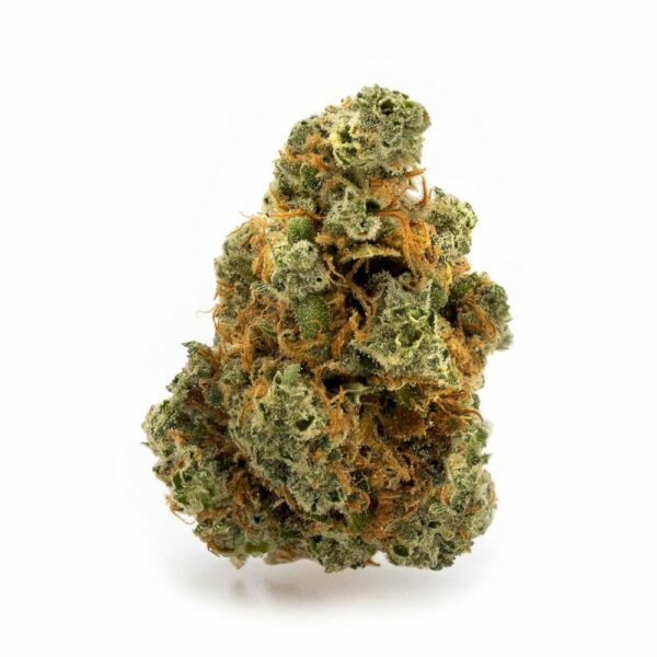 Sour Diesel cannabis bud showcasing its vibrant green and orange hairs, covered with frosty trichomes. This premium strain, known for its pungent aroma and energizing effects, is perfect for enthusiasts seeking a potent Sativa-dominant experience. Ideal for online dispensaries and SEO optimization for cannabis products.