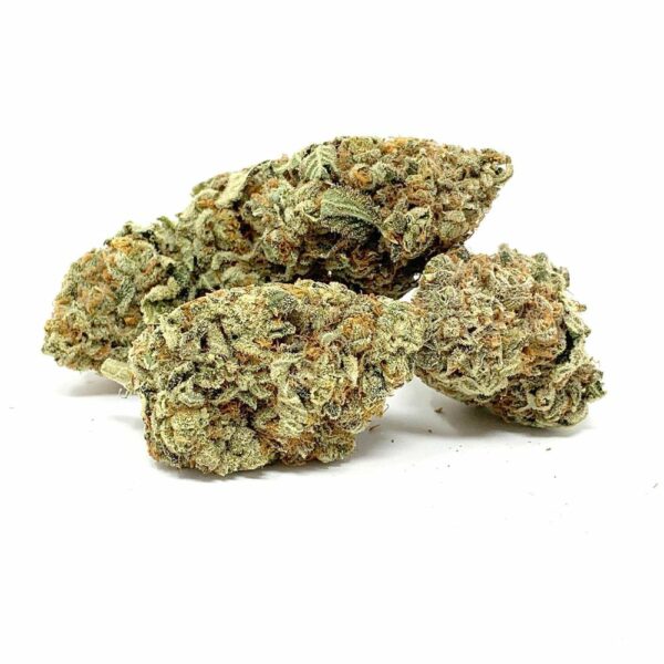 Vibrant Tangerine Dream cannabis bud with rich purple hues, orange hairs, and frosty trichomes. Ideal for muscle relaxation, pain relief, and a euphoric high.