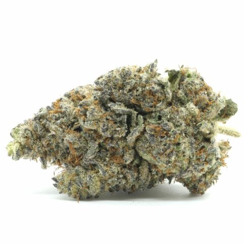 Vibrant Tangerine Dream cannabis bud with rich purple hues, orange hairs, and frosty trichomes. Ideal for muscle relaxation, pain relief, and a euphoric high. Sativa-dominant hybrid.