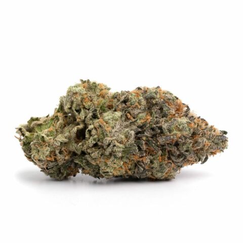 tarburst OG cannabis bud. The bud is dense and covered in a layer of frosty trichomes, giving it a crystalline appearance. Its coloring includes deep shades of green, purple, and orange, highlighted by thick orange hairs. This strain is known for its sweet and sour lemon candy flavor with hints of earthy diesel and pine. The visual appeal of the bud reflects its high THC content and premium quality.