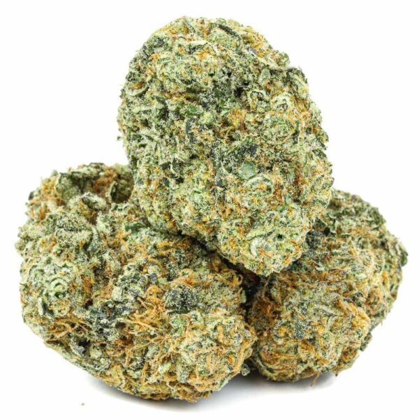 White Fire OG cannabis strain showing dense, frosty green buds with orange pistils and trichome coverage, placed in a stacked arrangement on a white background