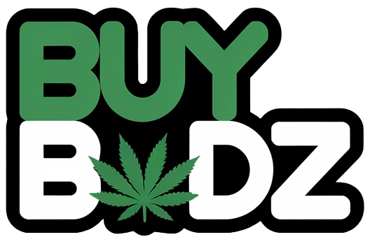 A logo featuring the words "BUY BUDZ" in bold, uppercase letters. The word "BUY" is written in green, while "BUDZ" is in white. The letter "U" in "BUDZ" is replaced by a green cannabis leaf, symbolizing marijuana.