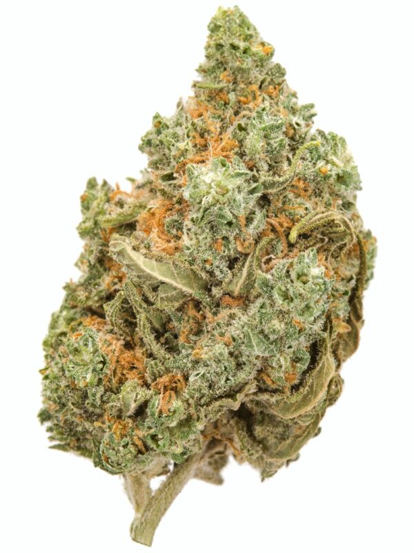 Amnesia Haze marijuana strain with green and orange hues