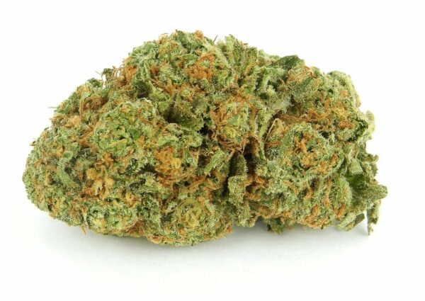 Cherry Pie strain with green and purple hues covered in orange pistils and trichomes.