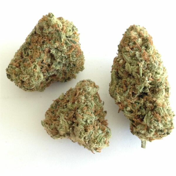 Citrus Punch Three cannabis buds with a light green color and orange hairs.