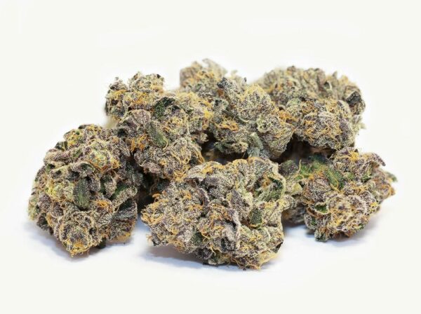 Ice Cream Cake cannabis bud, covered in frosty trichomes and rich in orange pistils. Known for its smooth flavor profile combining creamy and sweet notes, this strain offers relaxing effects and is popular among recreational and medicinal users alike. Perfect for content related to premium marijuana strains, flavor-rich cannabis products, and their potential therapeutic benefits."