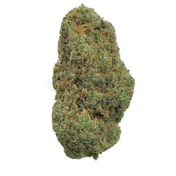 Nirvana Special cannabis bud in close-up, isolated on a white background.