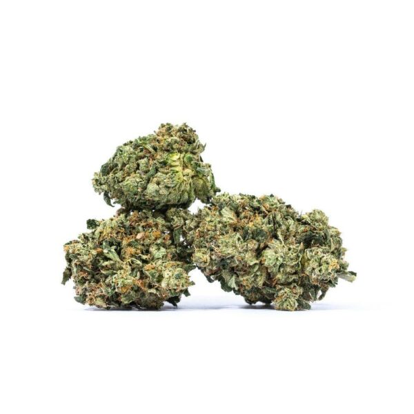 Trio of Nirvana Special cannabis buds on a white background.