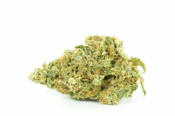 Premium Silver Hawk marijuana strain, dense bud covered in crystals and amber pistils.