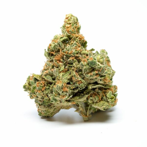 Skywalker OG Kush a dense, green cannabis bud with orange hairs and frosty trichomes.