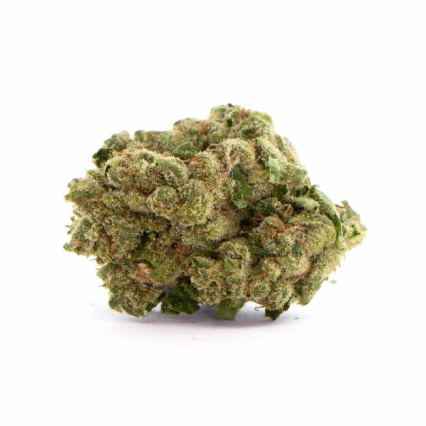 Sunset Sherbet Strain - A visually striking bud, known for its rich layer of trichomes and balanced hybrid effects.