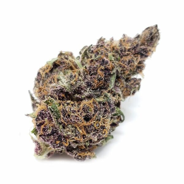 Cannabis bud with purple, green, and orange hues"