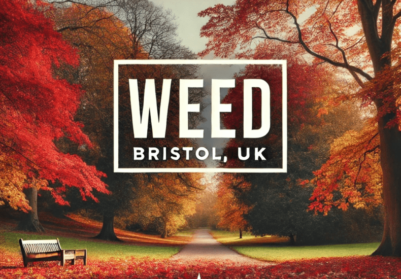 Serene autumn landscape with colorful red, orange, and yellow leaves on trees and the ground. A bench sits on the left side, and a pathway stretches into the distance. Bold white text in the center reads "Weed" above "Bristol, UK," with a small cannabis leaf icon below.