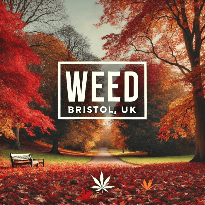 Serene autumn landscape with colorful red, orange, and yellow leaves on trees and the ground. A bench sits on the left side, and a pathway stretches into the distance. Bold white text in the center reads "Weed" above "Bristol, UK," with a small cannabis leaf icon below.