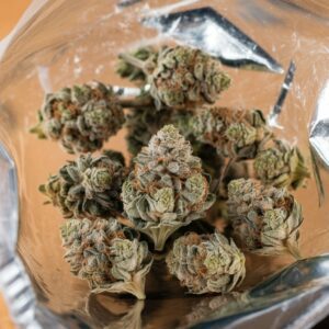 White Widow cannabis buds in a clear bag, showcasing dense, frosty trichomes and orange pistils