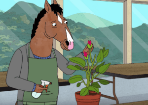 BoJack Horseman