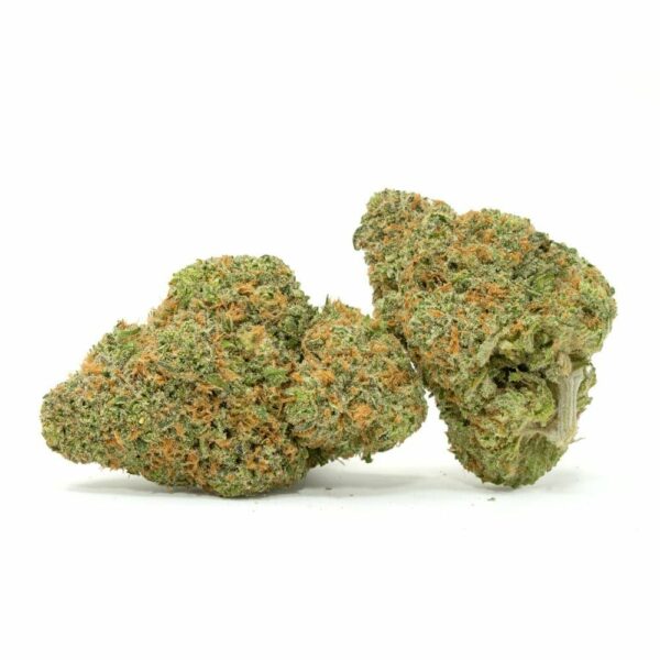 Two large Gorilla Zkittlez cannabis buds from BuyBudzUK featuring frosty green textures and orange pistils.