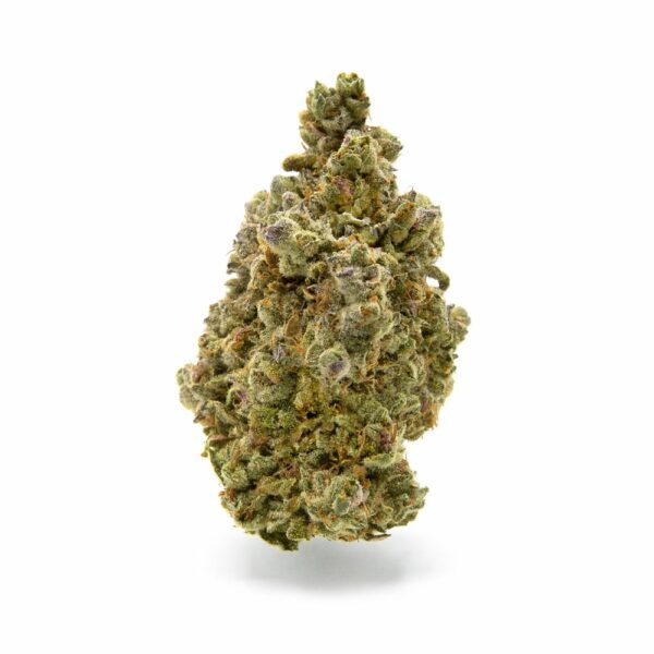 Cinderella 99 Cannabis Bud – Sweet Tropical and Fruity Weed Strain