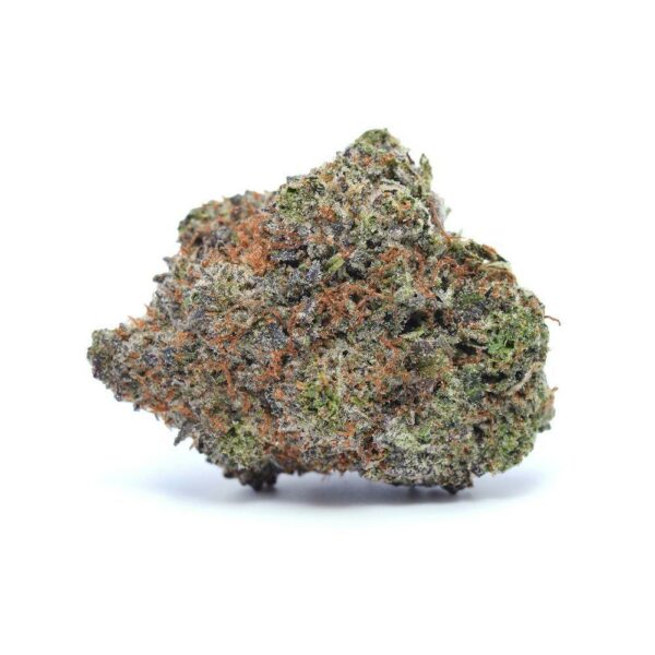 Paradise Circus Cannabis Bud with Purple and Green Undertones