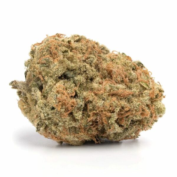 Rockbud Weed