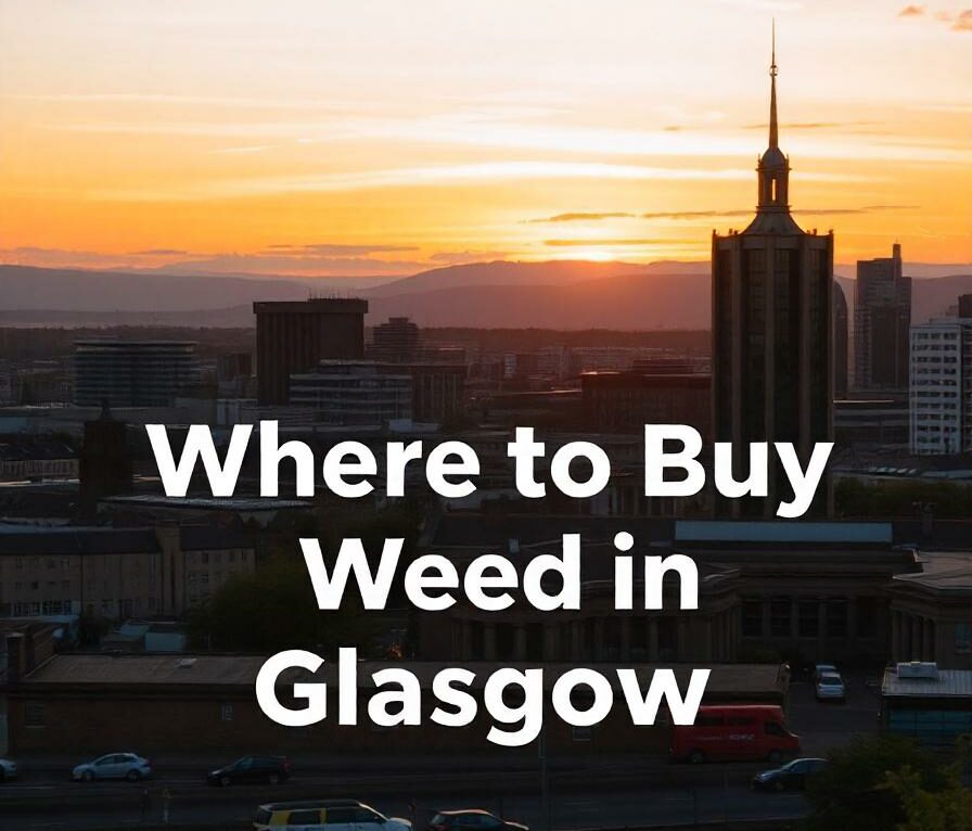 Where to Buy Weed in Glasgow - City of Glasgow with discreet Cannabis