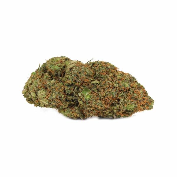 A single Rocket Fuel cannabis bud with an earthy green tone and orange accents.