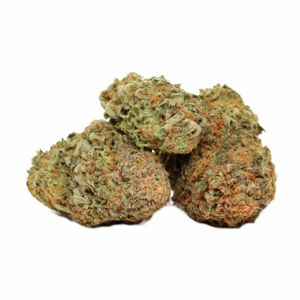 Three Rocket Fuel cannabis buds with vibrant colors and a frosty coating.