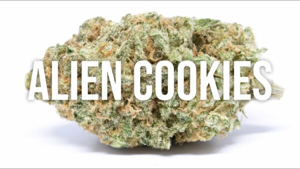 Alien Cookies Weed Strain