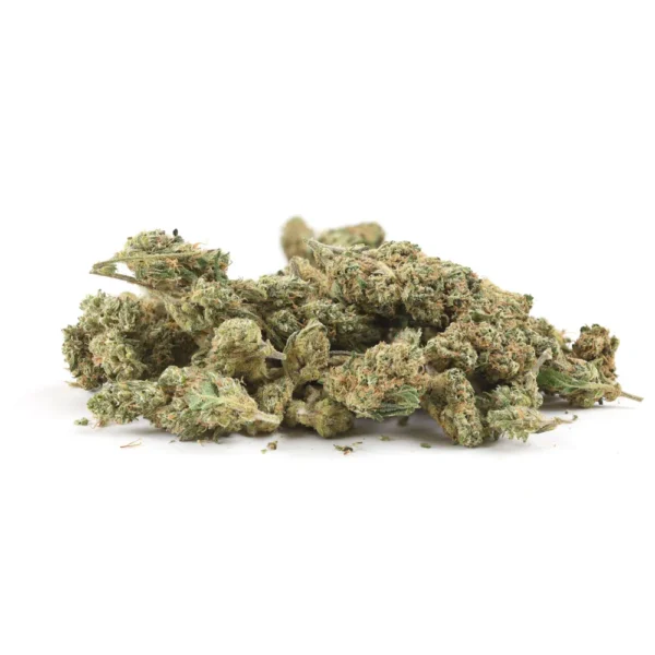 A pile of smaller cannabis buds from the Big Buddha Cheese strain, with light green hues and hints of orange hairs, displayed on a clean white background.