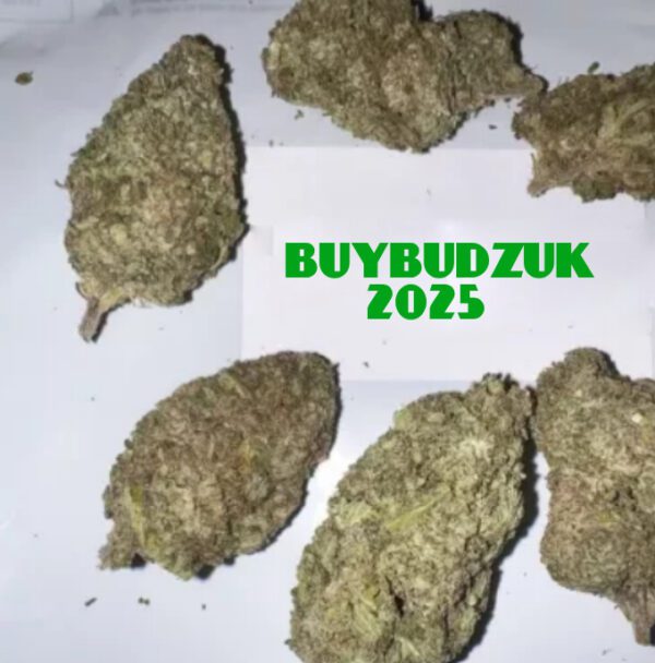 Critical Haze aka Critical OG Haze Weed Strain