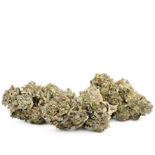 Ghost Dawg Weed Strain Fresh Buds 2025