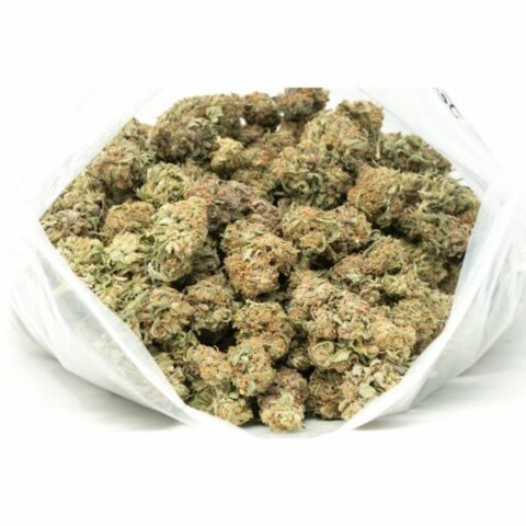 "Large bag of dense cannabis buds with a mix of green and orange hues, showcasing premium quality.