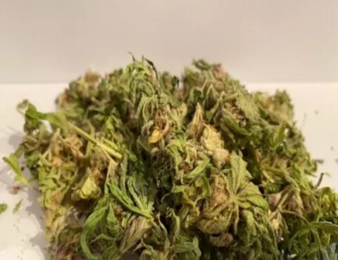 Small BUD Left-offs Shake Xmas Deal UK