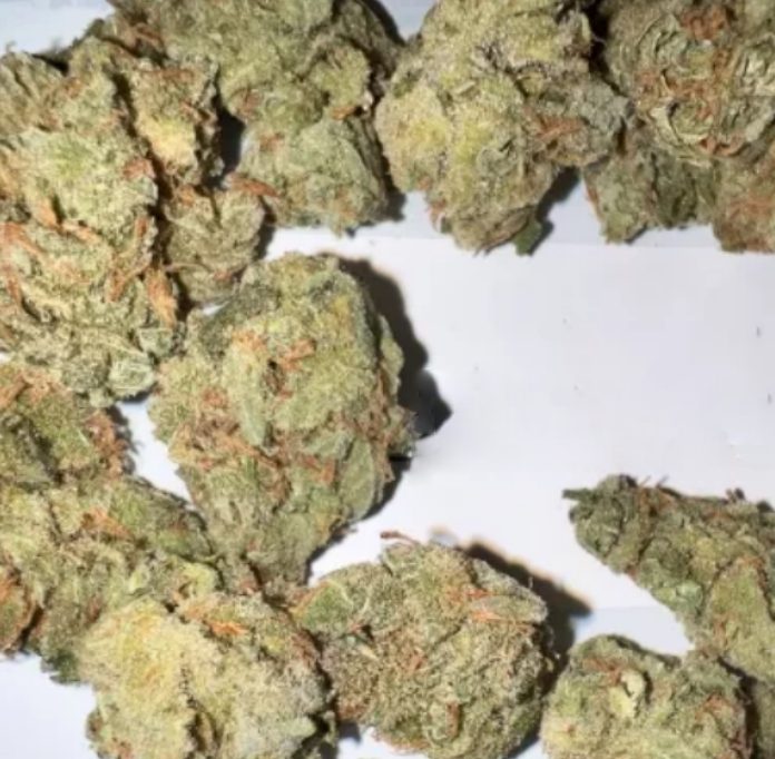 GMO Cookies Weed