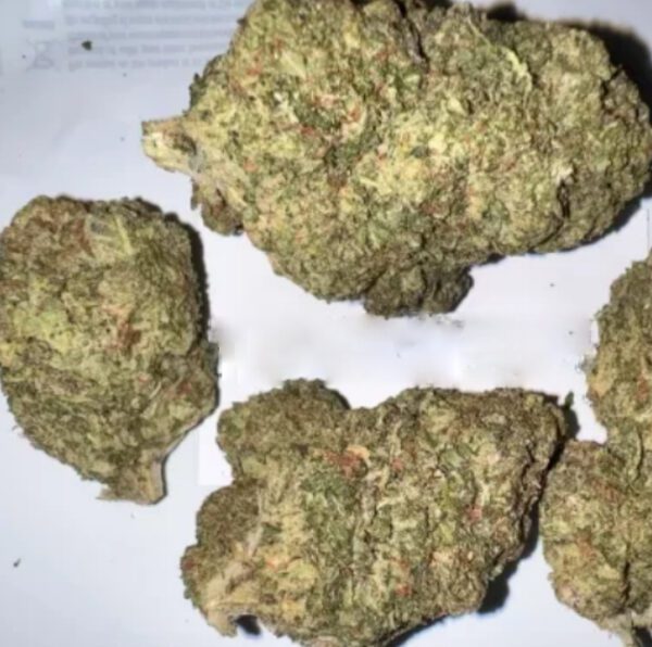 Gorilla Cookies Weed Relaxing Euphoric Effects - Coffee Shop
