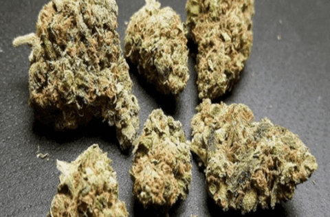 BLUE CHEESE WEED