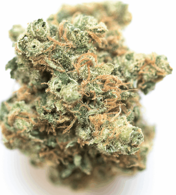 Pineapple Super Silver Haze