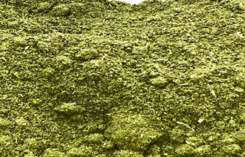 Premium Weed Kief-Infused Shake