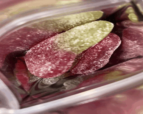 TROLLI CHERRY BOMBERS