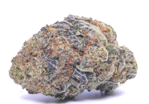ChemDawg
