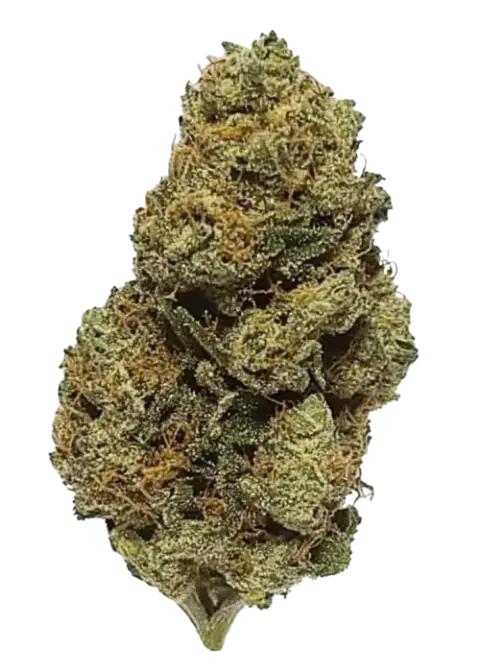 Lemon Haze
