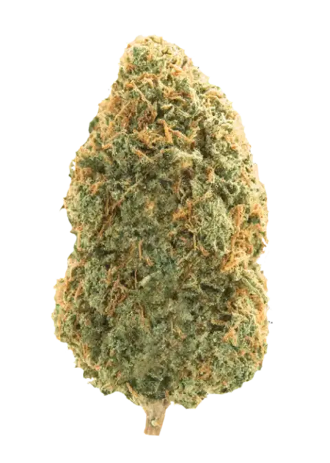 Blue Dream Weed Strain